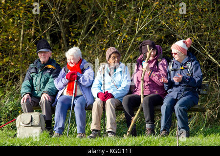 Piccolo gruppo di senior ramblers poggiante su un banco di lavoro in una giornata di sole Foto Stock