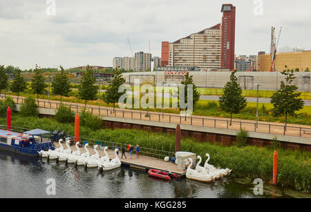 A forma di cigno noleggio pedalò in Queen Elizabeth Olympic Park, Stratford, Londra Foto Stock