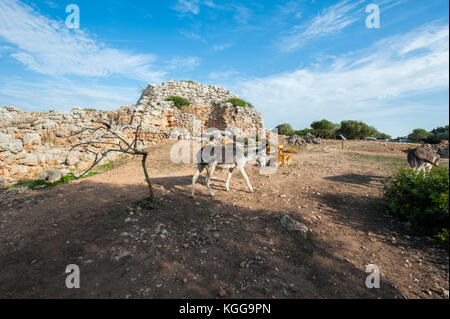 Santuario Talaiotic complesse in modo na Cacana, Menorca, isole Baleari, Spagna, Mare Mediterraneo. Foto Stock