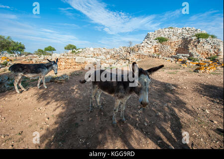 Santuario Talaiotic complesse in modo na Cacana, Menorca, isole Baleari, Spagna, Mare Mediterraneo. Foto Stock