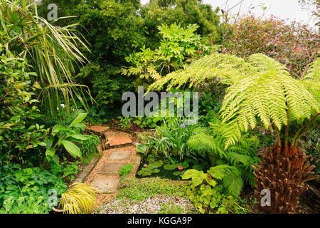 Piccolo laghetto in giardino in un giardino esotico in Plymouth, UK, circondato da grandi lasciava in piante di fogliame Foto Stock