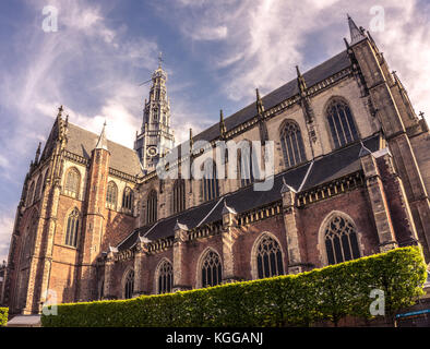 Il Grote Kerk (st.-bavokerk), chiesa protestante (ex cattedrale cattolica), la piazza del mercato centrale, città di Haarlem, Paesi Bassi Foto Stock