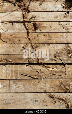 Una parete di legno di una country house Foto Stock