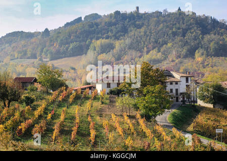 The landscape of the hills of the Oltrepo Pavese, you can see the hills where it is produced the wine of high quality Foto Stock