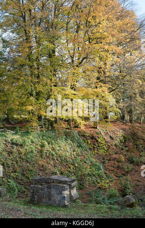 Autunno faggi lungo il terrapieno al vecchio cotswold Sapperton Canal Tunnel e il Tunnel Inn. Coates, Cirencester, Gloucestershire, Regno Unito Foto Stock