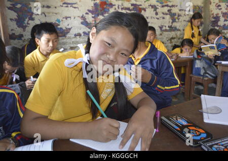 Adolescente nepalese con archi bianchi in disegno di capelli e posa per foto, in background altri studenti, Kathmandu, Nepal. Foto Stock