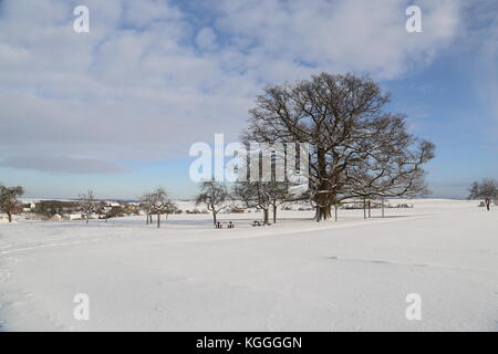 Paesaggio Di Inverno / millennium oak Foto Stock