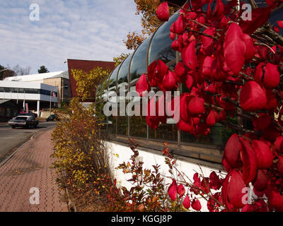 Lake Placid, New York, Stati Uniti d'America. Novembre 4, 2017. Fiori decorare uno dei restaunts sulla strada principale nel centro di Lake Placid Foto Stock