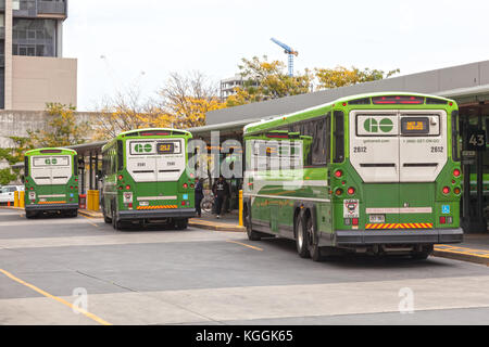 Toronto, Canada - 11 OTT 2017: ANDARE autobus di transito presso la Union Station terminal dei pullman a Toronto in Canada Foto Stock