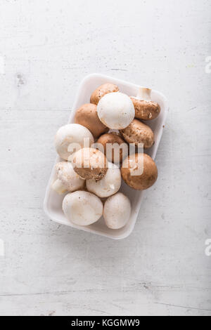 Funghi. I funghi su cemento bianco sullo sfondo. Foto Stock