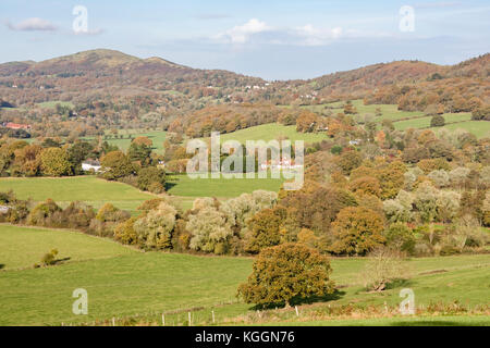 Autunno su Malvern Hills guardando a nord, Herefordshire, England Regno Unito Foto Stock