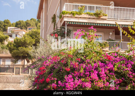 Rosa e viola fiori di bouganville fuoriuscire dal balcone di casa a port du soller, un beach resort in Mallorca Foto Stock