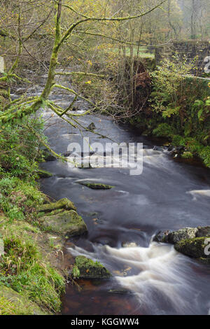 Vista di Hebden acqua al mulino di Gibson, Hardcastle Crags, Heptonstall, West Yorkshire, Inghilterra, Ottobre Foto Stock