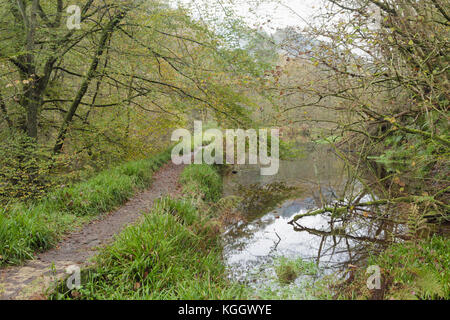 Vista del sentiero da Hebden acqua, Hardcastle Crags, Hebden Dale Heptonstall, West Yorkshire, Inghilterra, Ottobre Foto Stock