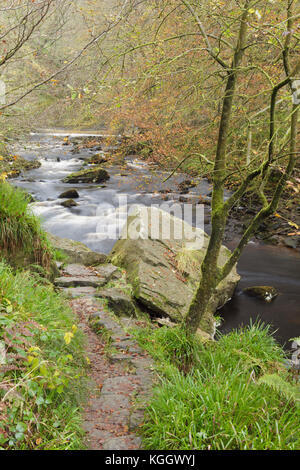 Vista di massi dal fiume Hebden Acqua , Hardcastle Crags, Hebden Dale Heptonstall, West Yorkshire, Inghilterra, Ottobre Foto Stock