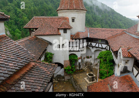 Castello di Bran, legato a Dracula, vicino a Brasov. La Romania. Foto Stock