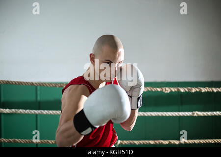 Ritratto di boxer maschio in piedi l'anello Foto Stock