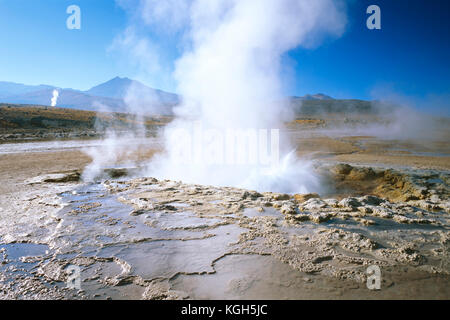 El Tatio geyser, il nome significato l'uomo che grida nella lingua locale. Oltre 80 active geyser sono principalmente attiva all'alba, in un campo geotermico 43 Foto Stock