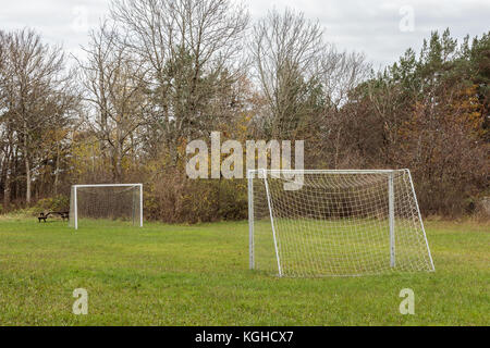 Piccolo campo da calcio con due gol all'aperto su erba verde Foto Stock