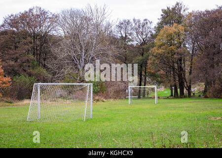 Piccolo campo da calcio con due gol all'aperto su erba verde Foto Stock