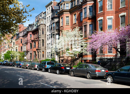Back Bay di Boston. architettura vittoriana e alberi ornamentali che fiorisce in primavera Foto Stock