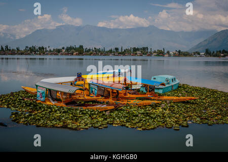 Parcheggio Shikara su dal lago Foto Stock