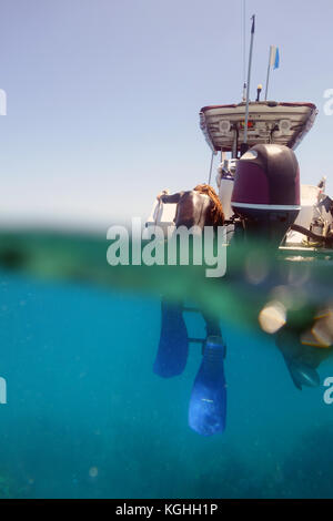 Snorkeller risalendo a bordo della barca, della Grande Barriera Corallina, Queensland, Australia. No signor o PR Foto Stock