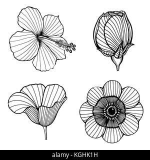 Set di vettore di disegnati a mano i fiori di loto. bozzetto floreale collezione botanica in grafica in bianco e nero style Illustrazione Vettoriale