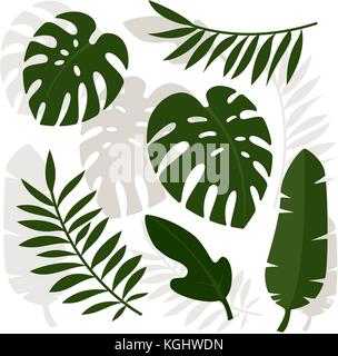Foglie tropicali. Illustrazione Vettoriale. Eps 10 Illustrazione Vettoriale