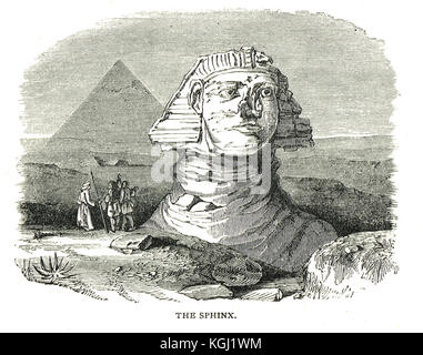 Grande Sfinge di Giza e Piramide, Egitto Foto Stock