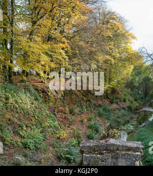 Autunno faggi lungo il terrapieno al vecchio cotswold Sapperton Canal Tunnel e il Tunnel Inn. Coates, Cirencester, Gloucestershire, Regno Unito Foto Stock