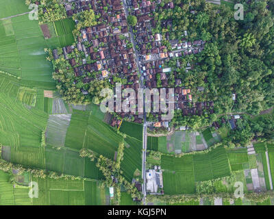 Antenna fuco vista del villaggio tradizionale Balinese in Tabanan Foto Stock