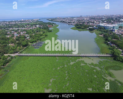 Giacinto di acqua nel fiume Jeneberang di Makassar. La crescita del giacinto di acqua può danneggiare l'ecosistema del fiume a causa della mancanza di ossigeno. Foto Stock