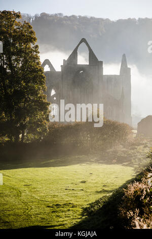 Bella nebbiosa mattina autunnale a Tintern Abbey, Monmouthshire, Galles. Foto Stock