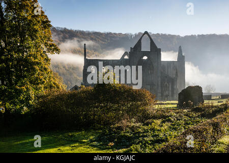 Bella nebbiosa mattina autunnale a Tintern Abbey, Monmouthshire, Galles. Foto Stock