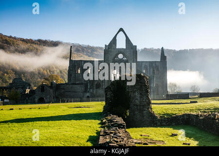 Bella nebbiosa mattina autunnale a Tintern Abbey, Monmouthshire, Galles. Foto Stock