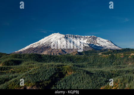 Monte St Helens volcano, blast zona dall eruzione del 1980 ora coperto con nuovi alberi, Monte St Helens National Volcanic Monument, Washington, Stati Uniti d'America Foto Stock