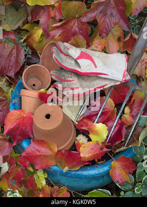 Tera cotta vasi di fiori, forchetta da giardino e foglie cadute del superriduttore della Virginia Parthenocissus quinquefolia Foto Stock