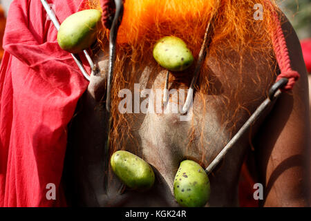 Un indù del Bangladesh devoto si prepara per appendere su una fune con ganci trafitto nel suo ritorno come parte di un rituale durante il charak puja festival a Dhaka, ba Foto Stock