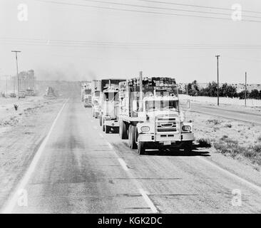 Convoglio (1978) Data: 1978 Foto Stock