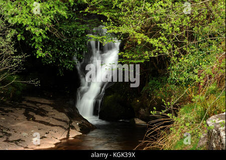 Ultima cascata su nant bwrefwr. Foto Stock