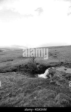 Una piccola cascata su nant llyn y. Foto Stock