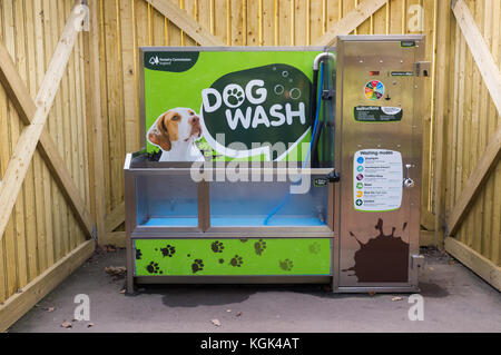 Cane di macchina di lavaggio in una pubblica passeggiata nella foresta, Wyre Forest, Regno Unito Foto Stock