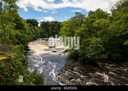 Aysgarth Upper Falls; River Ure; Yorkshire; UK Foto Stock