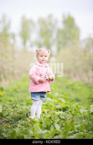 Incantevole piccola ragazza bionda in piedi di Orchard e tenendo un fiore del melo nelle sue mani Foto Stock