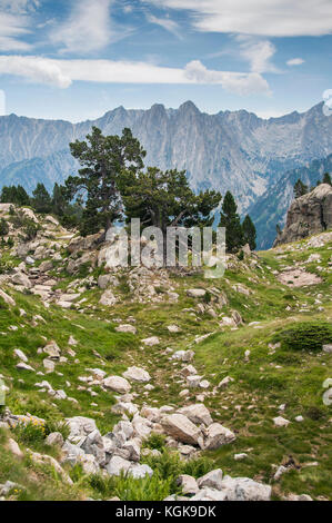 Vista dal lago di Amitges (Aigüestortes National Parck) Foto Stock