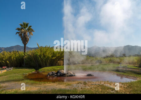 La fontana del vecchio fidato Geysir, Calistoga, Napa Valley, California, Stati Uniti d'America Foto Stock