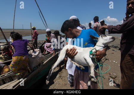 Più Rohingya entrando in Bangladesh Foto Stock