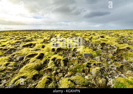 Moss paesaggio coperto con vista lontano all orizzonte e nuvole. Foto Stock