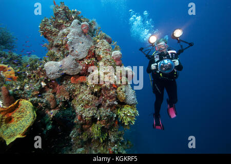 Fotografo subacqueo esplora la parete Exuma, Isole Bahama Foto Stock